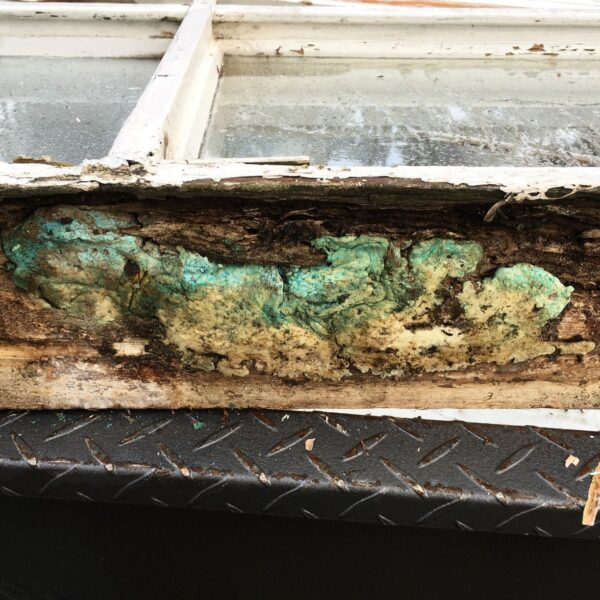 What to do with a rotting window - Windows by Geoff Case